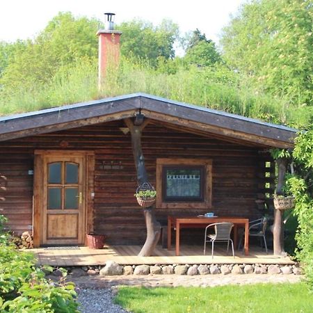 Blockhaus Zahren Villa Penzlin Kültér fotó