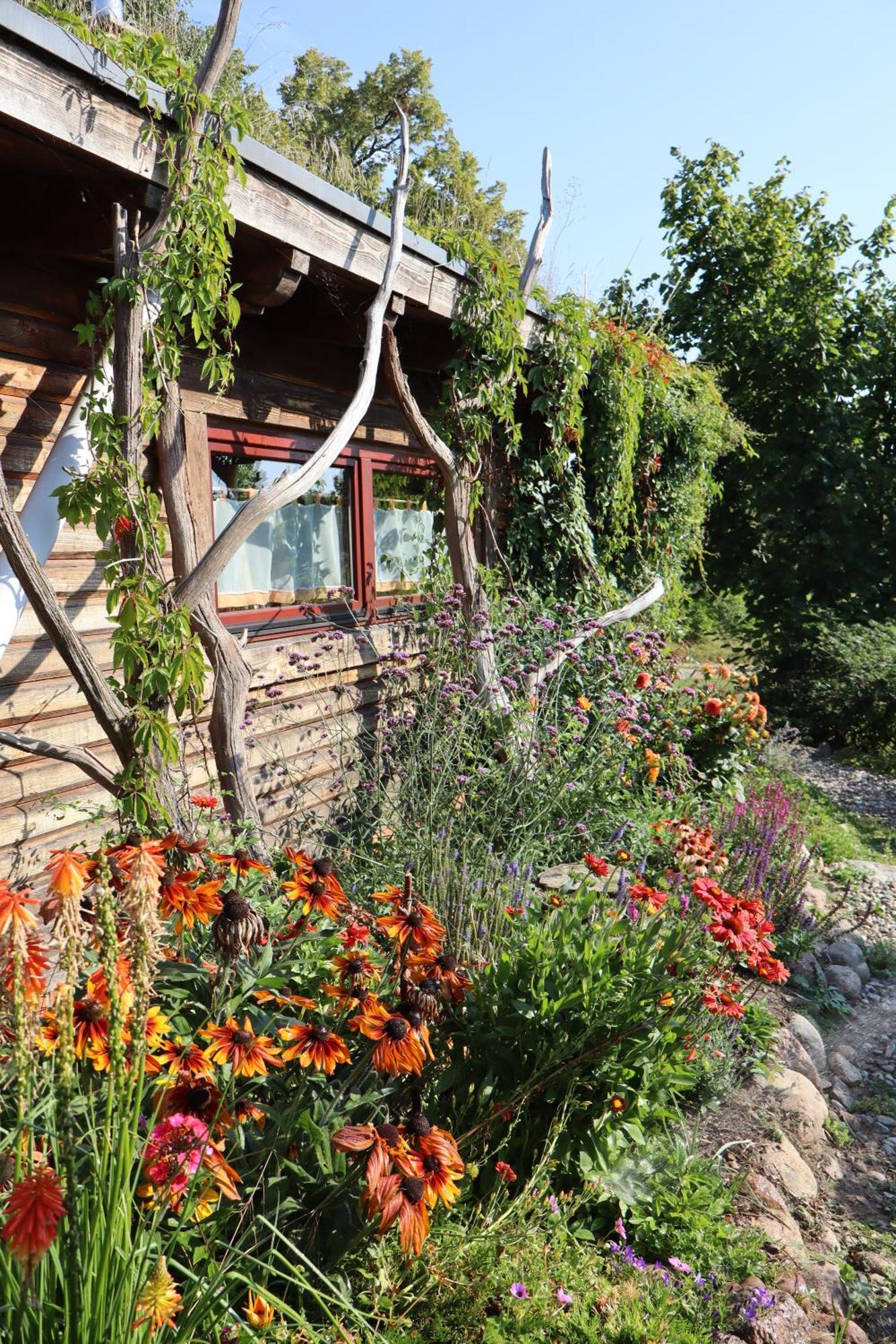 Blockhaus Zahren Villa Penzlin Kültér fotó
